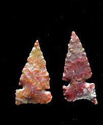 Photo of Alibates Flint Clovis Points found Near Amarillo Texas
