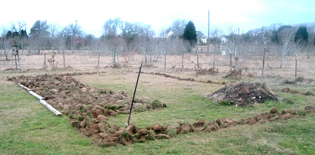 Photo of new Garden Bed Preparation